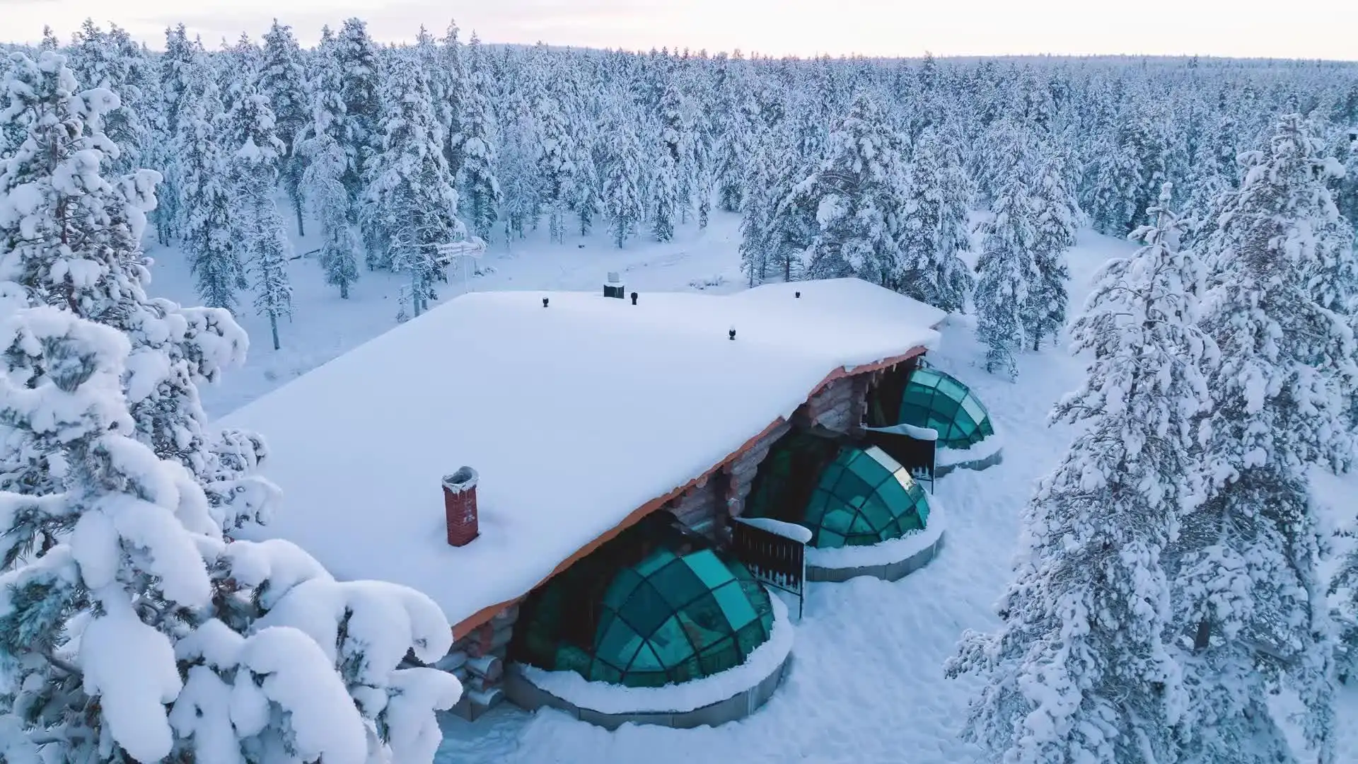 Domed glass shelters and snow mounds spread across a clearing in pine forest